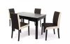 Kis Berta asztal 120-as Wenge + 4 db Kanzo Wenge és szövetes szék